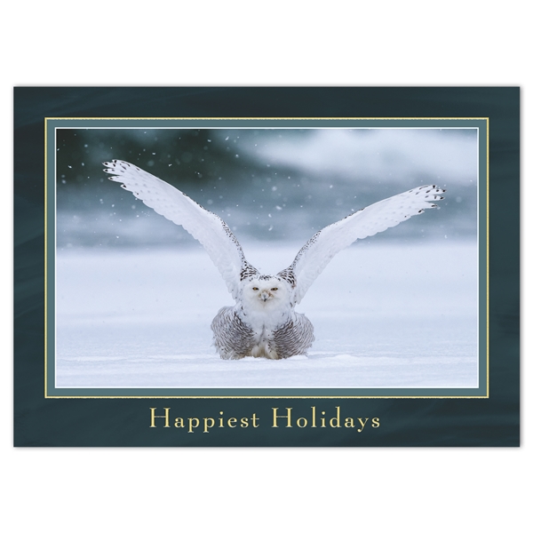 View All Holiday Cards The National Wildlife Federation