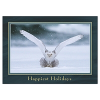 Snowy Owl Holiday Cards