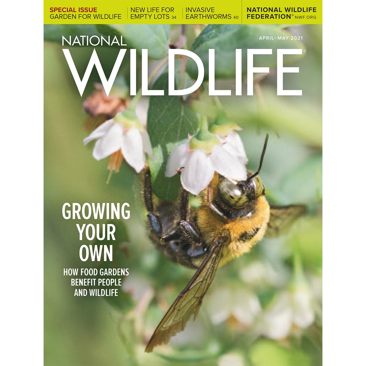 National Wildlife Membership - Personal