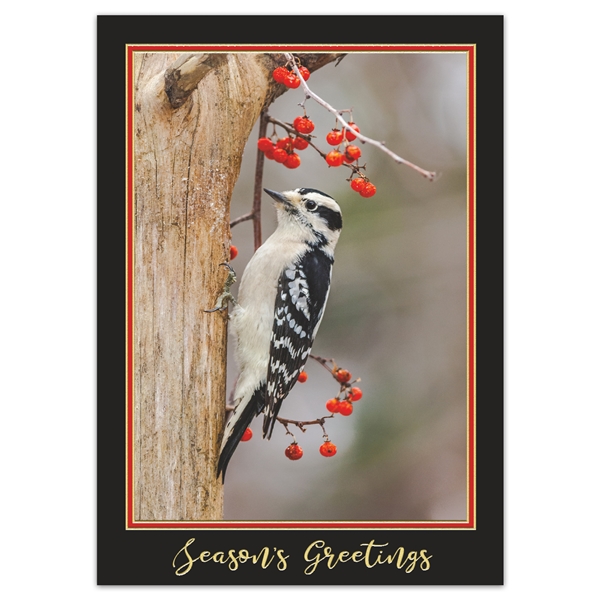 View All Holiday Cards The National Wildlife Federation