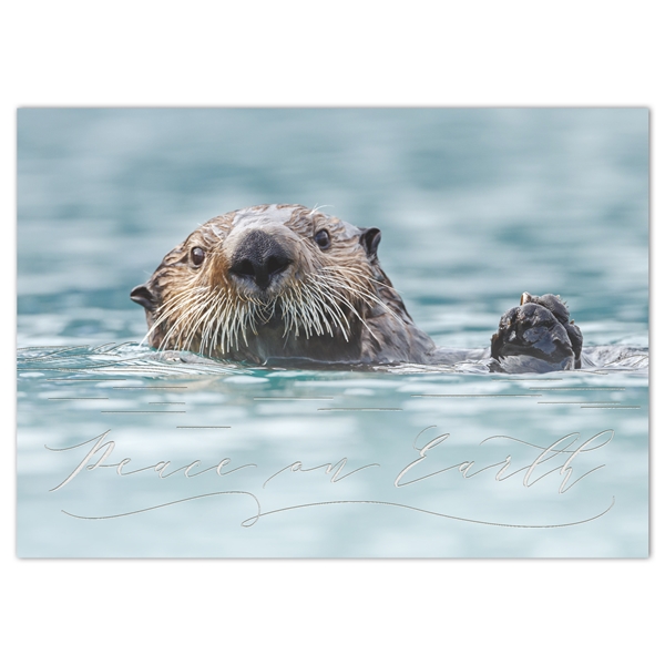 Wildlife The National Wildlife Federation