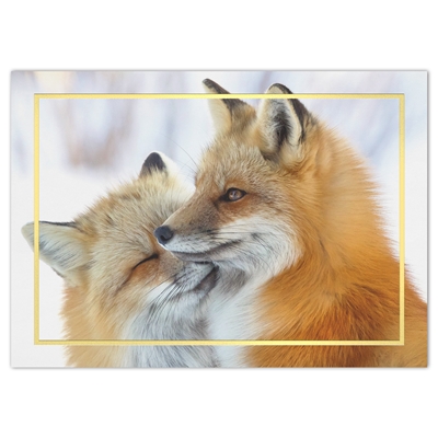 Cuddling Foxes Holiday Cards