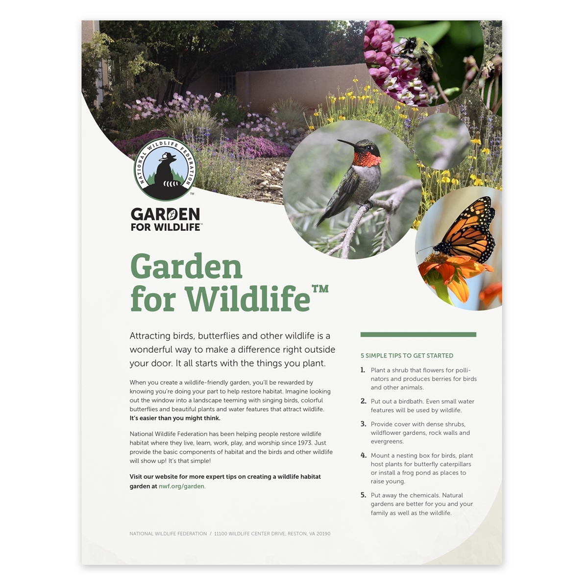 Certifying Your Yard or Garden as a Wildlife Habitat