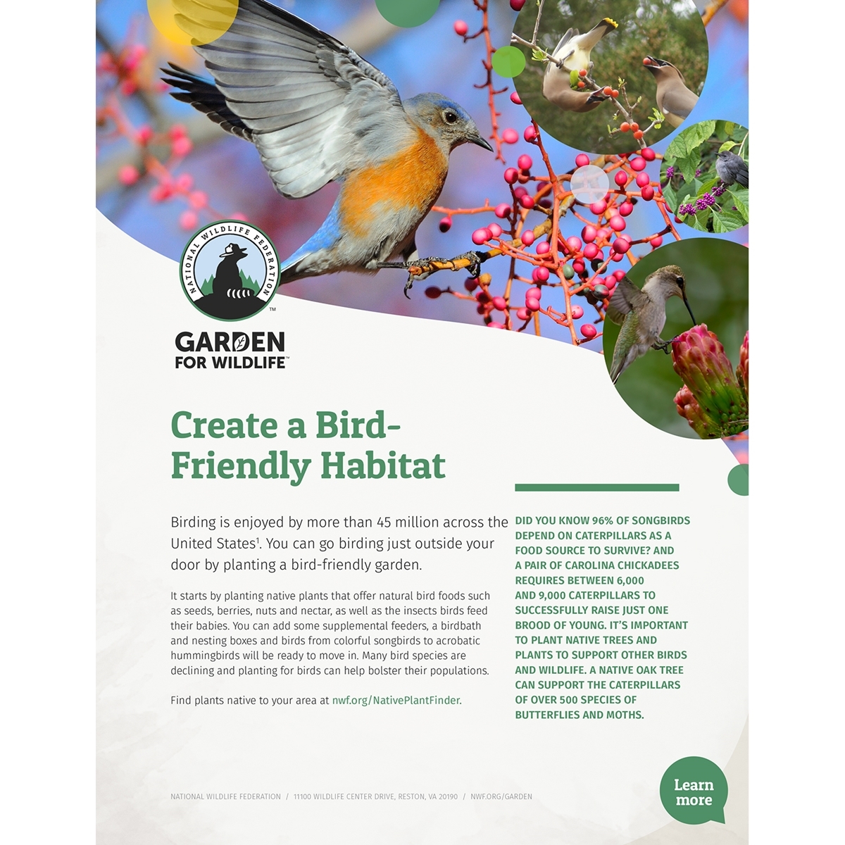 Bird-Friendly Habitat Tip Sheet