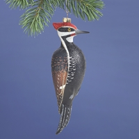 Pileated Woodpecker Glass Ornament - 500125