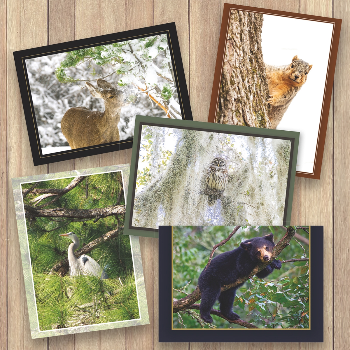 2021 Trees for Wildlife Cards