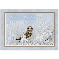 Short-Eared Owl - Spanish Holiday Cards - NWF62404