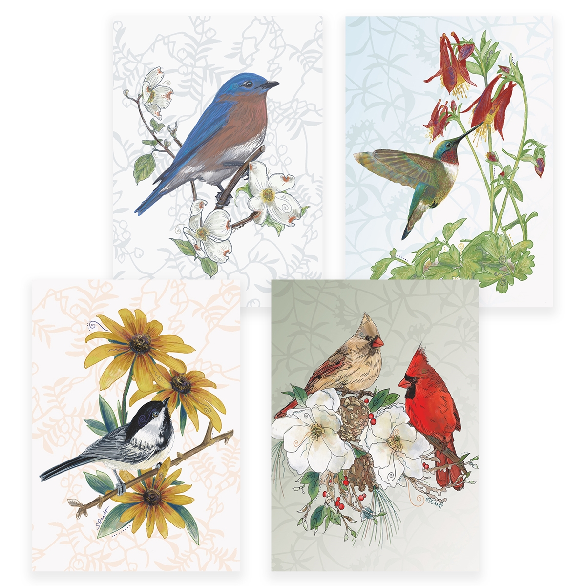 Bird Assortment Card Set