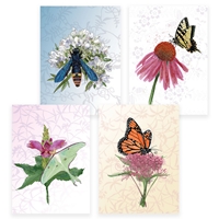 Pollinator Assortment Card Set