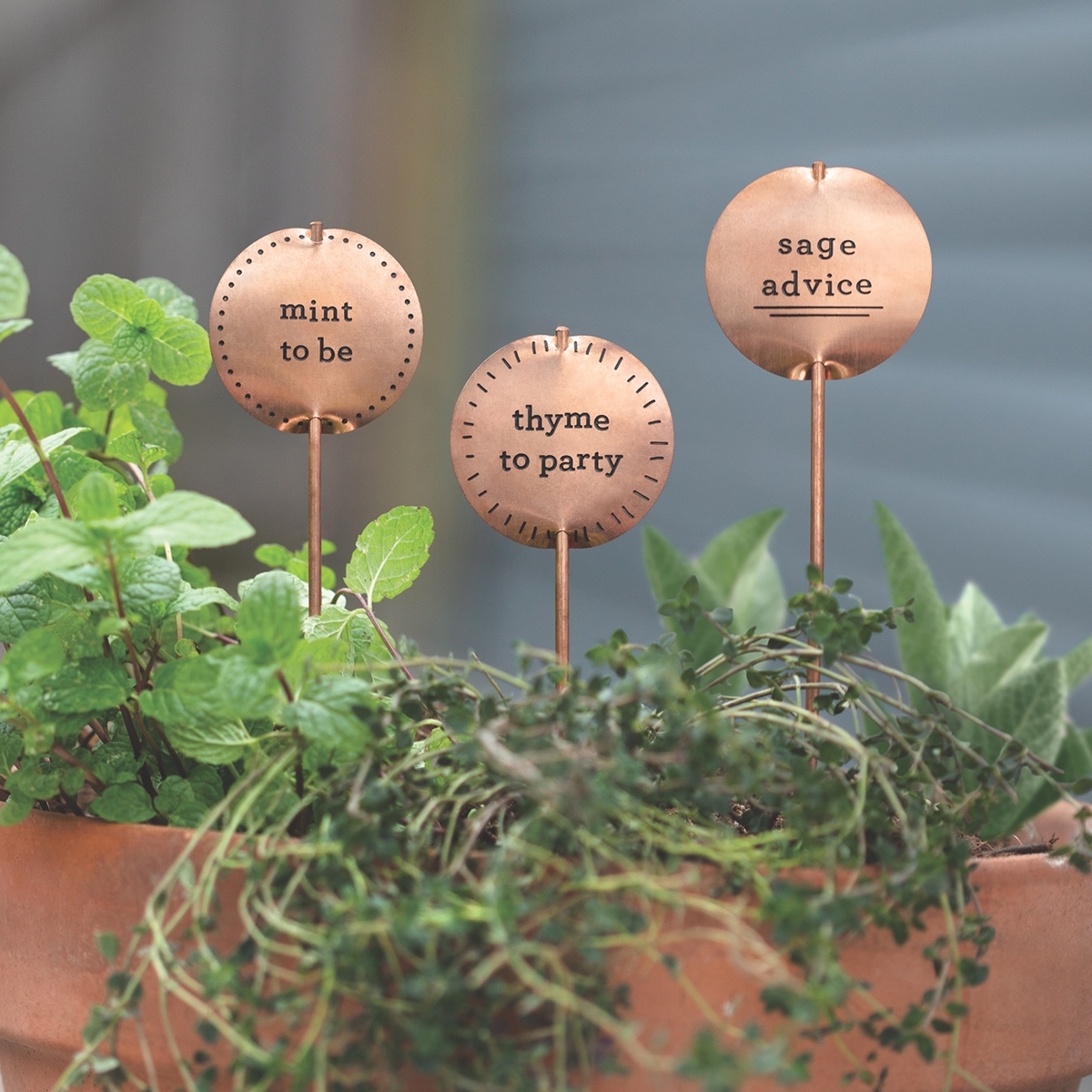 Mint to Be Plant Stakes