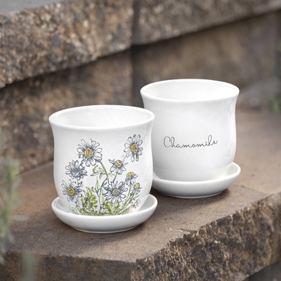 Chamomile Planter and Saucer