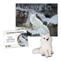 Adopt an Arctic Fox - AFOX40