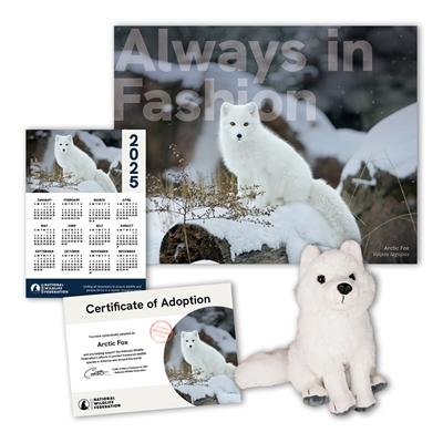 Adopt an Arctic Fox