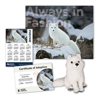 Adopt an Arctic Fox - AFOX60