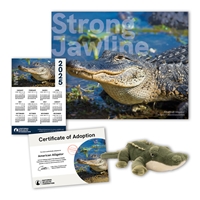 Adopt an American Alligator - ALGR60