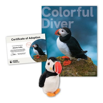 Adopt an Atlantic Puffin