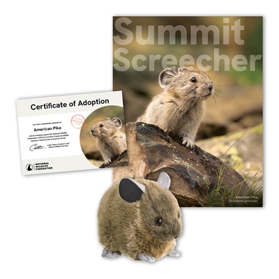 Adopt an American Pika