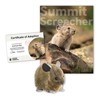 Adopt an American Pika - APKA40