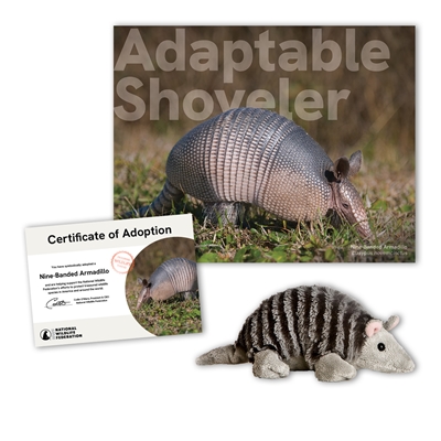 Adopt a Nine-Banded Armadillo