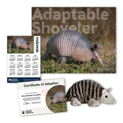 Adopt a Nine-Banded Armadillo