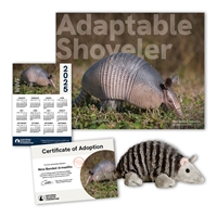 Adopt a Nine-Banded Armadillo - ARMA60