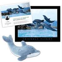 Adopt a Bottlenose Dolphin