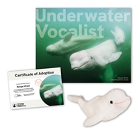 Adopt a Beluga Whale - BELW40