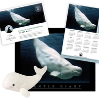 Adopt a Beluga Whale - BELW60