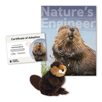 Adopt an American Beaver - BEVR40