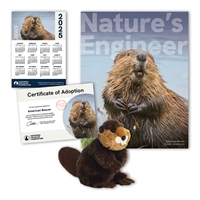 Adopt an American Beaver - BEVR60