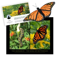 Adopt a Monarch Butterfly - BFLY40