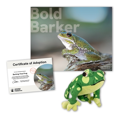 Adopt a Barking Tree Frog