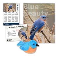 Adopt an Eastern Bluebird - BLBD60