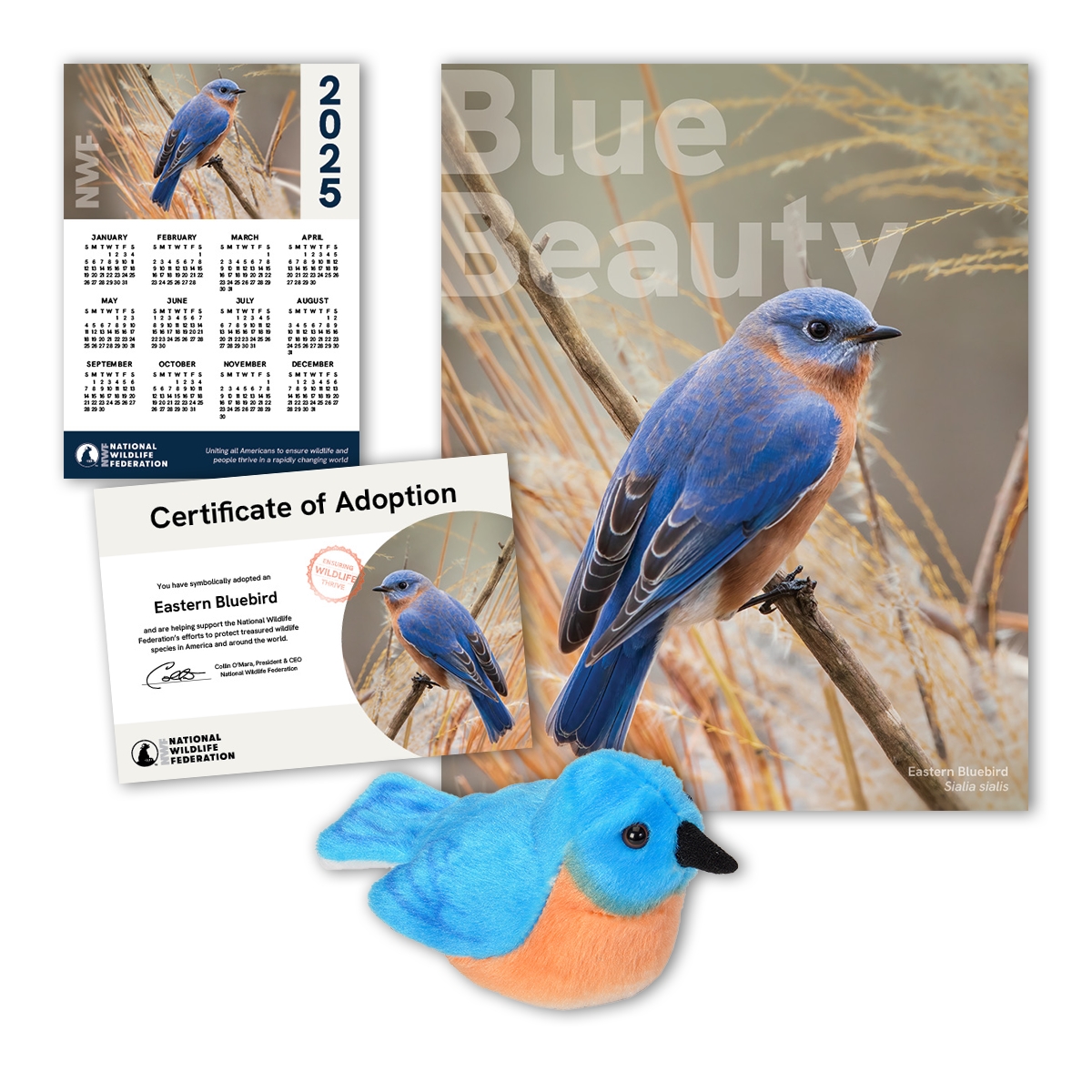 Adopt an Eastern Bluebird