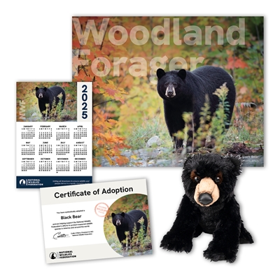 Adopt a Black Bear