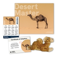 Adopt a Dromedary Camel - CAML60