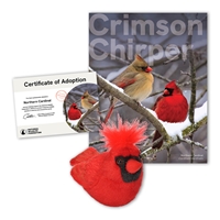 Adopt a Northern Cardinal - CDNL40