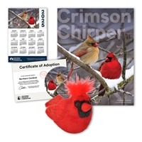 Adopt a Northern Cardinal - CDNL60