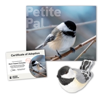 Adopt a Black-Capped Chickadee - CKDE40