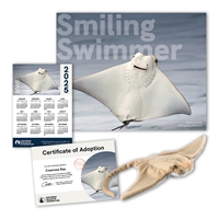 Adopt a Cownose Ray - CWNS60