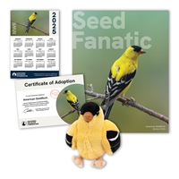 Adopt an American Goldfinch - GFCH60