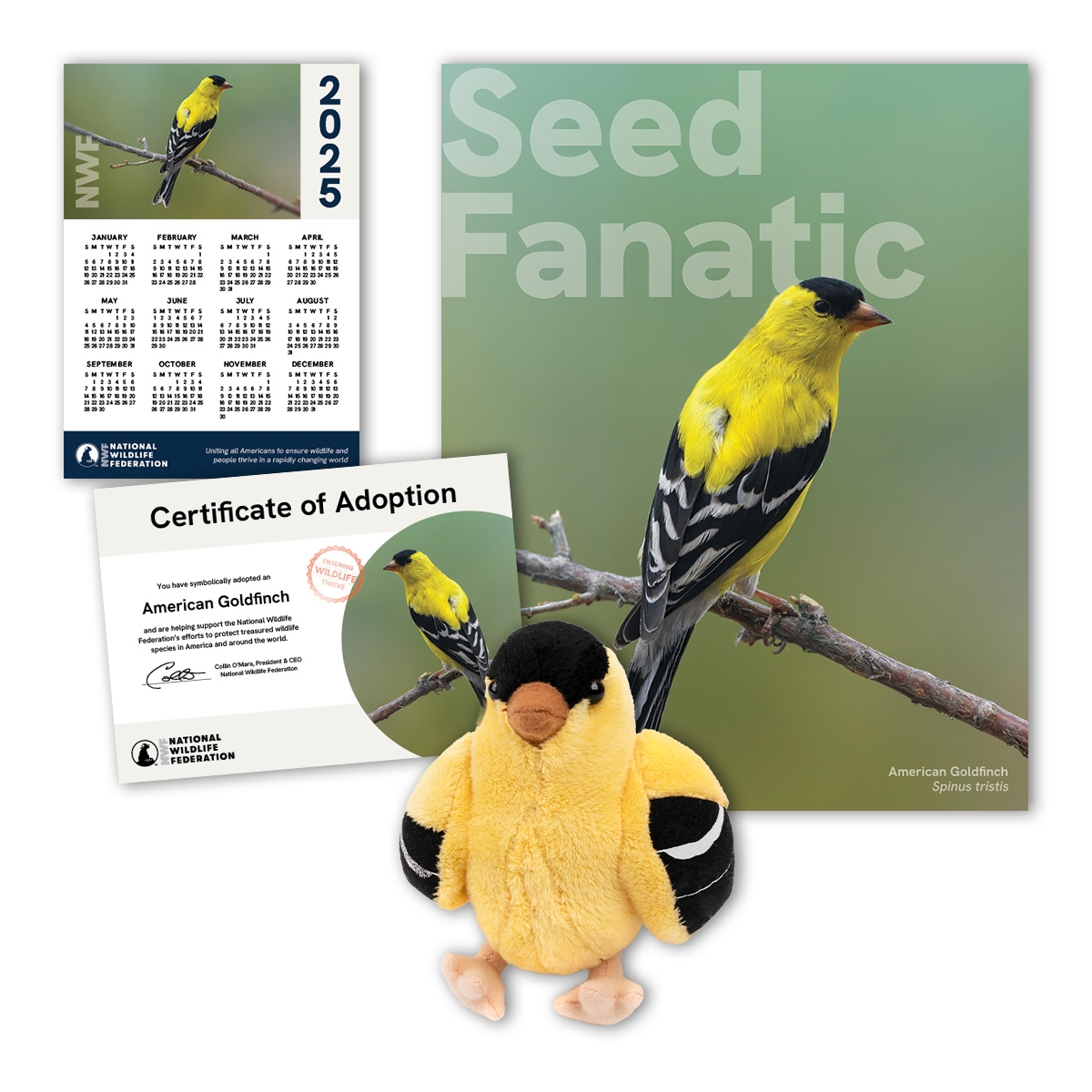 Adopt an American Goldfinch