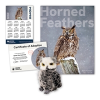 Adopt a Great Horned Owl - GOWL60