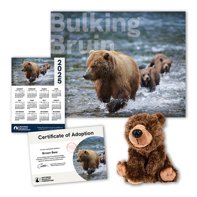 Adopt a Brown Bear