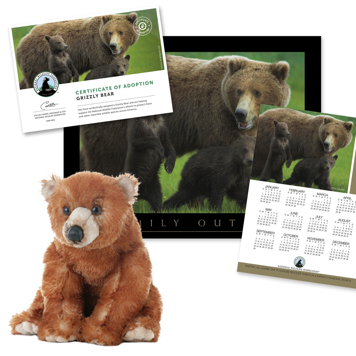 Adopt a Grizzly Bear