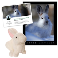 Adopt a Snowshoe Hare
