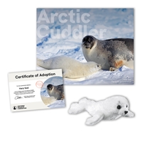 Adopt a Harp Seal - HSEL40