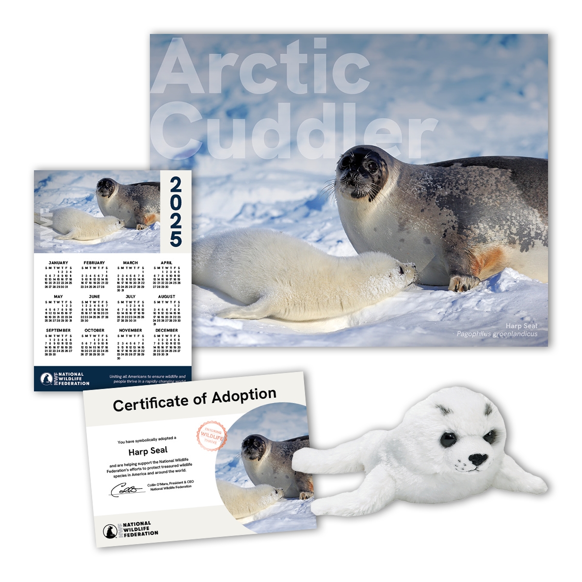 Adopt a Harp Seal