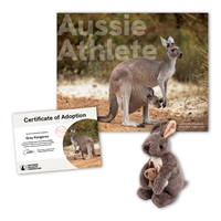 Adopt a Gray Kangaroo - KANG40