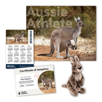 Adopt a Gray Kangaroo - KANG60